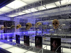 南アフリカの人類化石遺跡群　Fossil Hominid Sites of South Africa